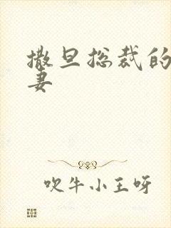 撒旦总裁的下堂妻封面