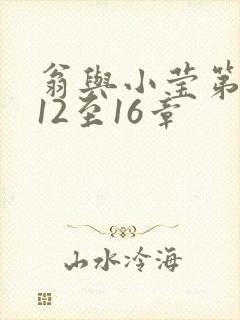 翁与小莹第十部12至16章