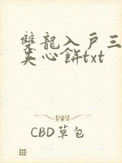 双龙入户三人行夹心饼txt