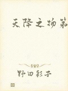 天降之物第一季