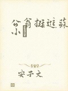 公翁挺进苏玥的小泬封面
