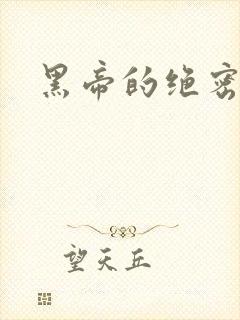 黑帝的绝密私宠