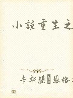 小说重生之官道