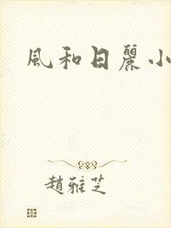 风和日丽小说封面