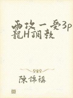 两攻一受3p双龙H调教