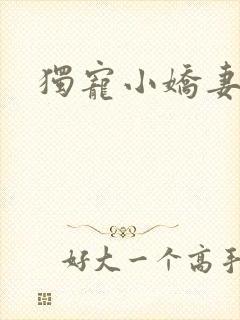 独宠小娇妻封面