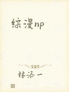 综漫np封面
