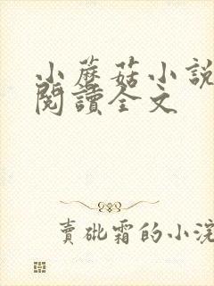 小蘑菇小说免费阅读全文