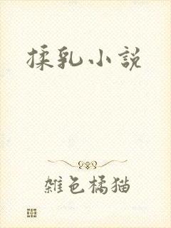 揉乳小说