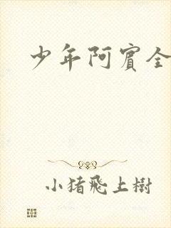 少年阿宾全集