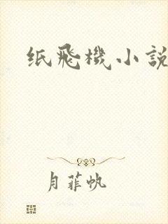 纸飞机小说封面