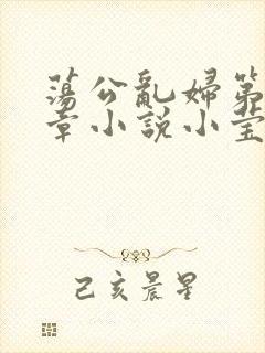荡公乱妇第51章小说小莹