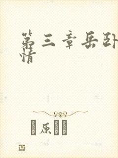 第三章岳卧室激情