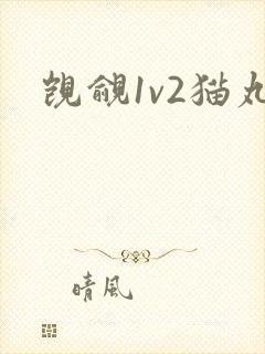 觊觎1v2猫丸