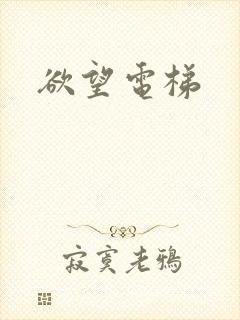 欲望电梯封面