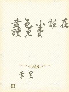 黄色小说在线阅读免费