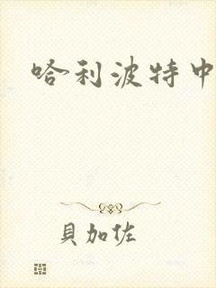 哈利波特中文版