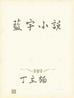 蓝宇小说封面
