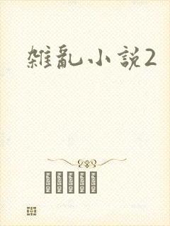 杂乱小说2