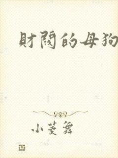 财阀的母狗们