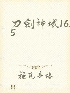 刀剑神域16.5封面
