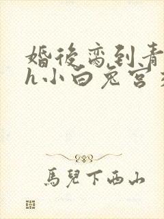 婚后脔到青梅哭h小白兔宫交h