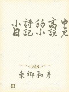 小诗的高中成长日记小说免费阅读
