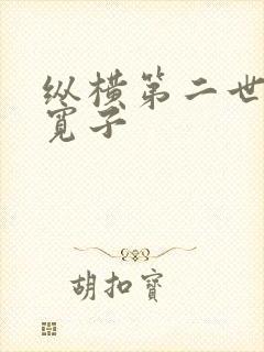 纵横第二世界 宽子