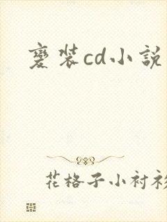 变装cd小说