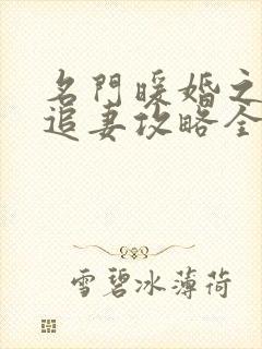 名门暖婚之权爷追妻攻略全文免费阅读