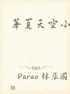 华夏天空小说网封面