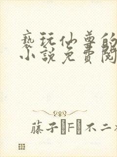 亵玩仙尊的道侣小说免费阅读