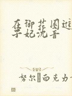 在御花园进入太子妃沈音