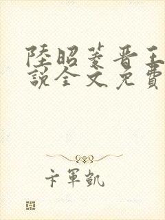 陆昭菱晋王的小说全文免费阅读