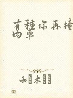 有种你再撞一下肉车