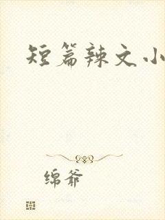 短篇辣文小说封面