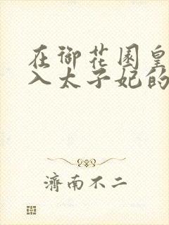 在御花园皇上进入太子妃的小说封面