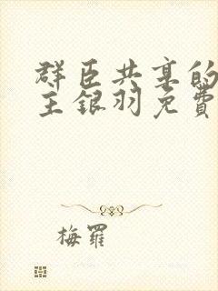 群臣共享的小公主银羽免费阅读