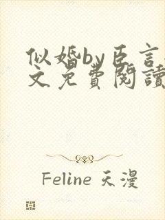 似婚by臣言全文免费阅读笔趣阁封面