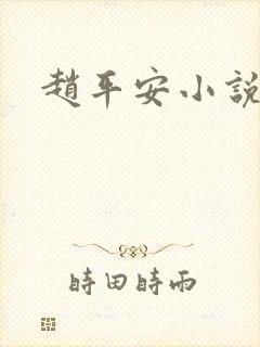 赵平安小说主角