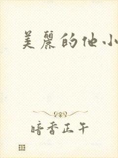 美丽的他小说