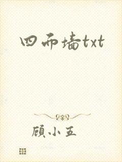 四面墙txt