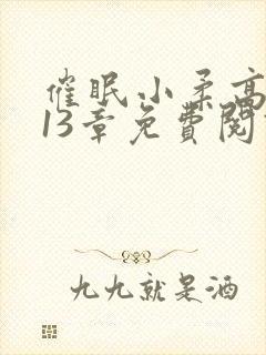 催眠小柔高达第13章免费阅读