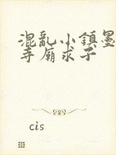 混乱小镇墨池砚寺庙求子封面
