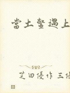 当土鳖遇上海龟