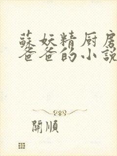 苏妖精厨房爹爹爸爸的小说