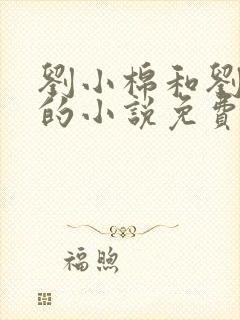 刘小棉和刘易文的小说免费阅读封面