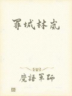 罪城林岚封面