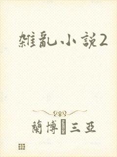 杂乱小说2
