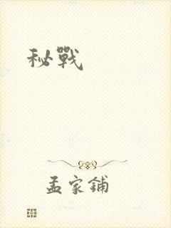 秘战